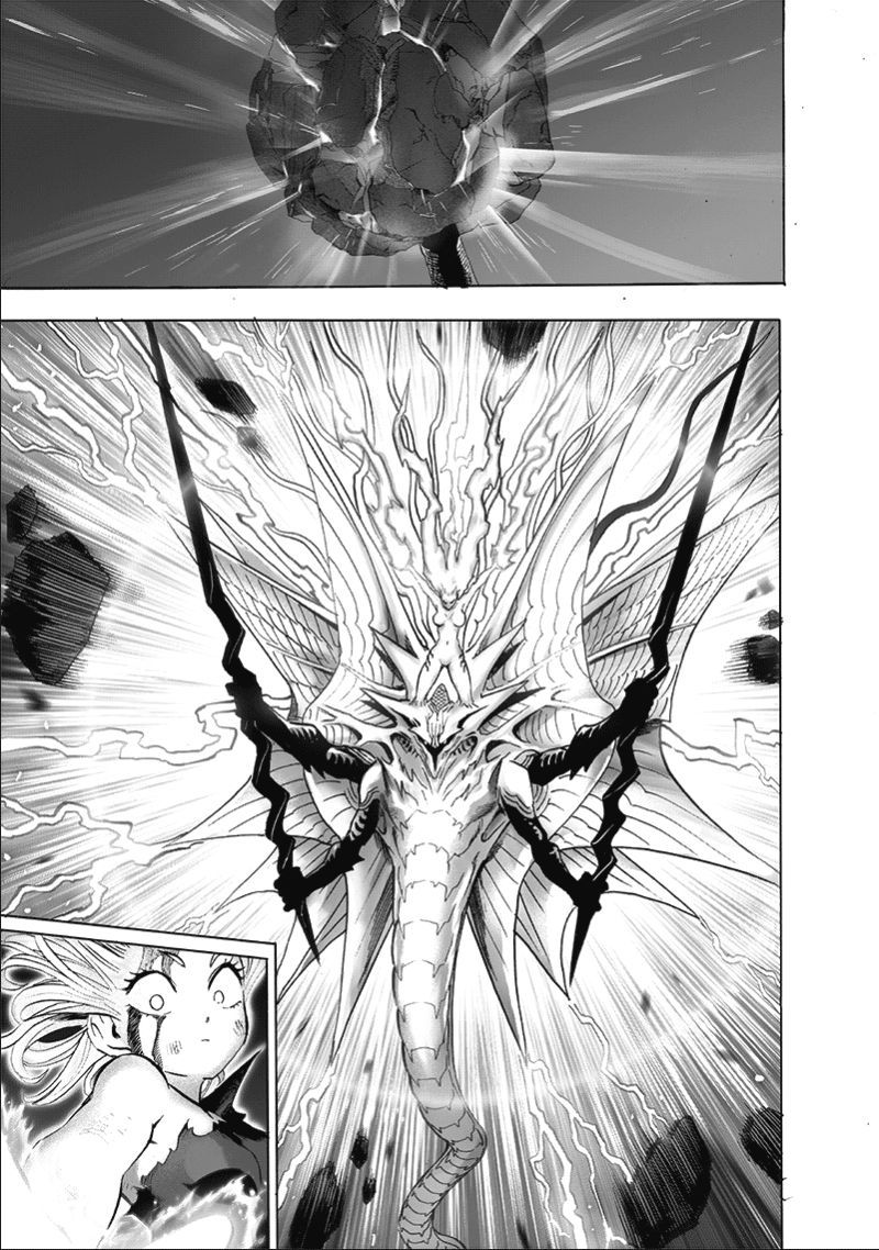 One-Punch Man Chapter 133 12